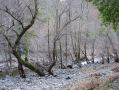 Coyote Creek on our way out from Hunting Hollow