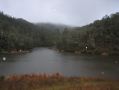 View toward Jason's, David's and Rebecca's shelters