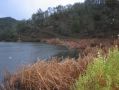 Reeds and tent along the shore