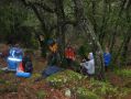 Rainy Creekside Lunch Stop