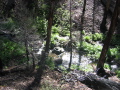 The first part of the hike was along a ravine with a sparkling creek