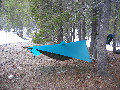 Hammock with poncho tarp