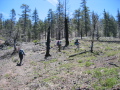 Much of our route was through recently-burned areas