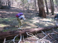 Paige takes pictures of some of the first of the gazillions of wildflowers we saw