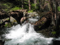 The first creek we had to cross was really going strong