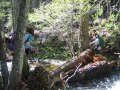 Paige assesses the log crossing with Dale's help (just before losing her pole in the swift current)