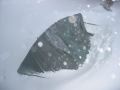 I finally dig out and see my tent
