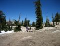 Hiking through a hemlock forest (this is where the ranger checked our permits on the way back)